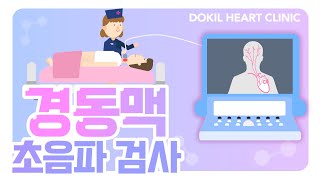 초음파검사ㅣ경동맥 초음파검사에 대한 모든 것!