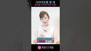 우아한 다이어트의 지름길 다이어트 어려워하지 마세요
