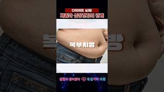 심장 건강 위해서라도 체중 증가되지 않도록