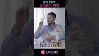 봄에 찾아오는 불청객 '알레르기 비염' [독일하트의원]