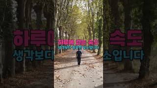빠르게 걷기, 심장 리듬을 지켜줍니다!