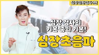 심장 검사의 기본 중의 기본 심장초음파에 대해 알려드립니다 Ι 심장질환검사 1편 [독일하트의원]